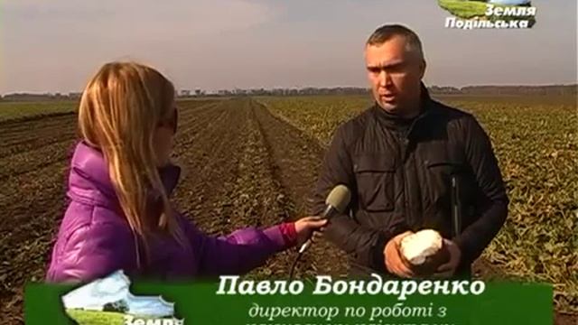 Сахарная свекла Щелково Агрохим смотреть онлайн