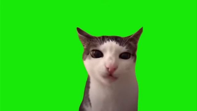 кот хрустит. смотреть онлайн