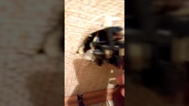 Перенос розетки для Электро плиты. смотреть онлайн