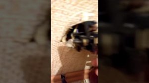 Перенос розетки для Электро плиты.