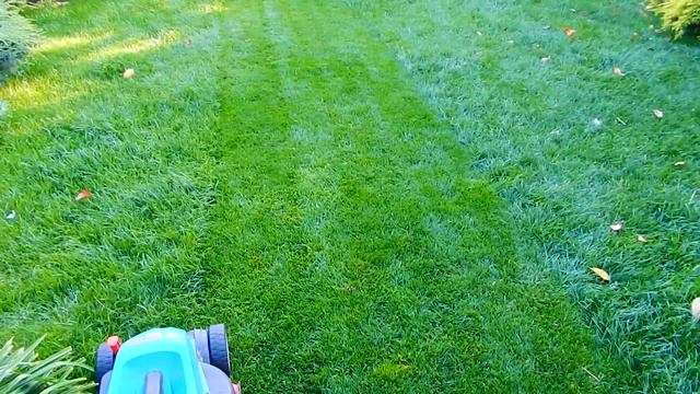 Газон без сорняков..Реально?? смотреть онлайн