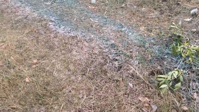 №26. Дон покрасили смотреть онлайн