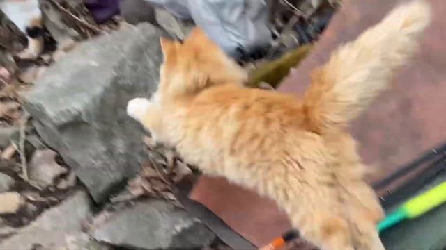 Последняя рыбалка …Запорожье 2022 #рыбалказапорожье смотреть онлайн