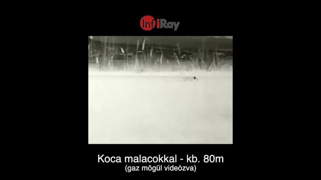 Pulsar Axion XM30S vs. InfiRay FL25R смотреть онлайн