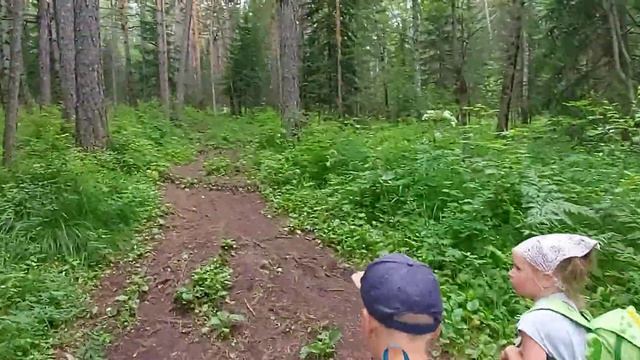 Столбы. Красноярск. Путь на Китайскую стенку смотреть онлайн