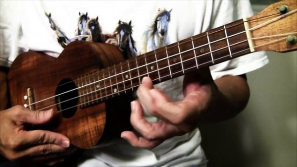 Susie Q (Creedence Clearwater Revival) ukulele rendition