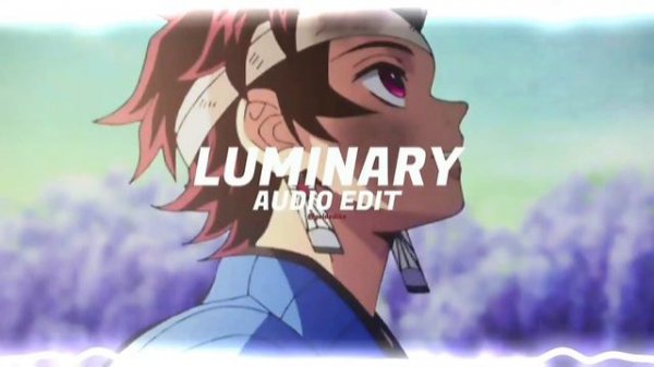 Joel Sunny - Luminary [edit audio]