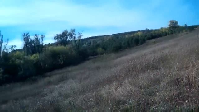 Странное место! Нашли много монет, разных эпох. смотреть онлайн