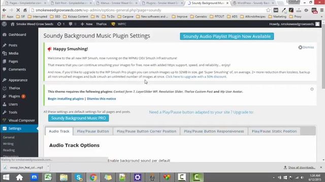 Adding background music into wordpress смотреть онлайн