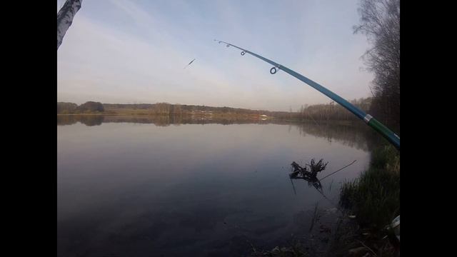 Прудовая рыбалка и отличный завтрак) смотреть онлайн