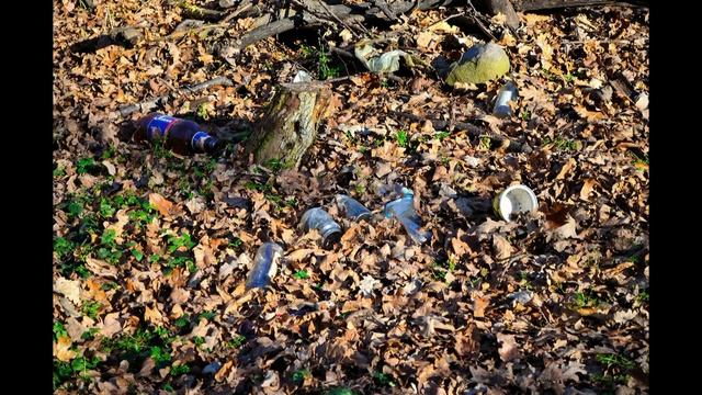 Nikon D5100 18 55 VR Kit Amateur photo смотреть онлайн