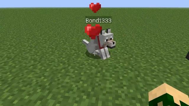 Как назвать собаку своим именем в MInecraft1.5.2!
