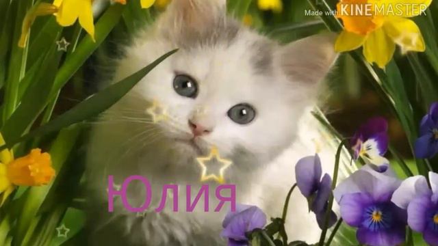 Какой ты кот по именам ,читайте описание смотреть онлайн