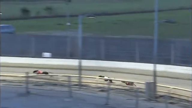 Greyhound 2022- 19.10.2022 Trial 4 смотреть онлайн
