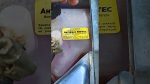 почему поднимается антифриз в расширительном бачке?