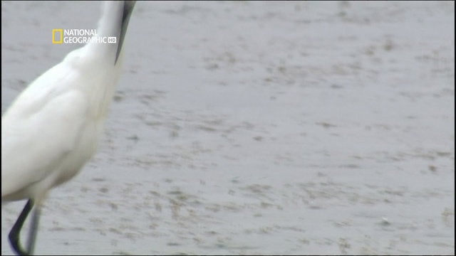 LaLoireAtlantique смотреть онлайн