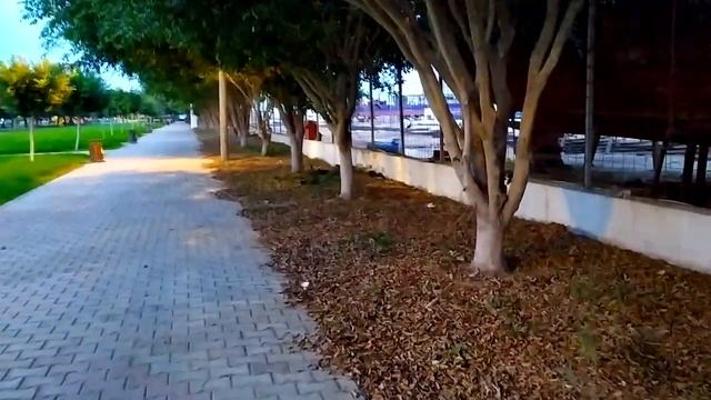 Дети на тренировке. АЛЕКСЕЙ ГУЛЯЕТ ПО ПАРКУ ЕРДЕМЛИ. Как оформить карту на автобус в Мерсин? смотреть онлайн