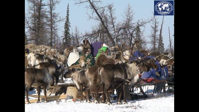 Каслание. смотреть онлайн