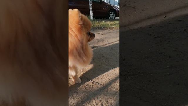 обзор на Злату 😚 смотреть онлайн