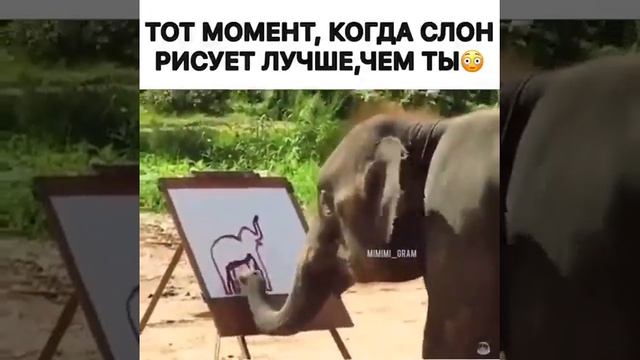 Слон которое сможет рисовать картинку смотреть онлайн