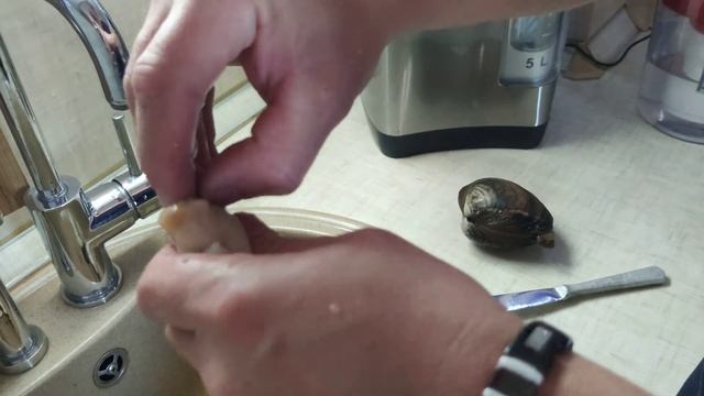 Спизула . Как ее разделать . смотреть онлайн