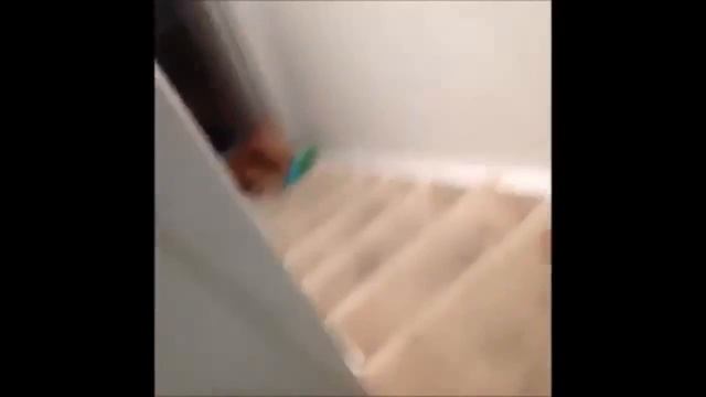 Домашний тверк Супер прикол Funny Twerk Fails Funny Dancing 2017 смотреть онлайн