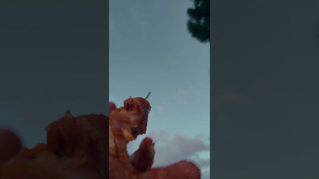Шашлычный сезон🥓☀️🏠