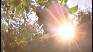 Реклама Gerber (2008)