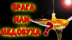 Брага из меда. Самогон из меда или медовуха, что лучше сделать?