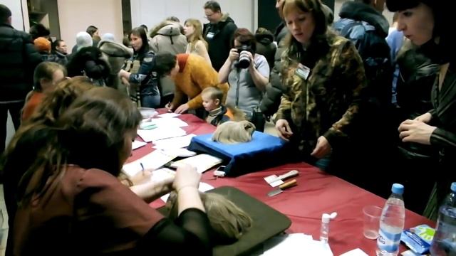 Судейство морских свинок. Белые и Пушистые 2012 смотреть онлайн