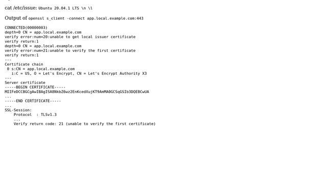 DevOps & SysAdmins: NGINX SSL Reverse Proxy Verify Upstream SSL (2 Solutions!!) смотреть онлайн