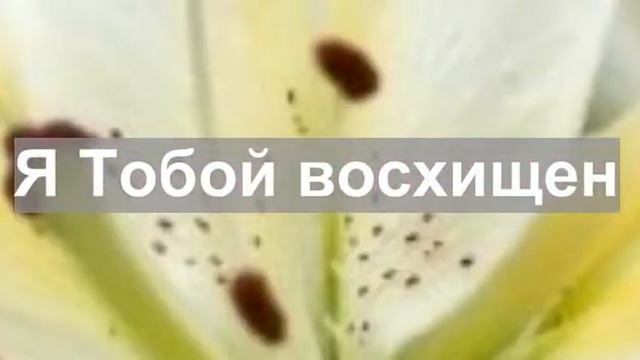 Посвящаю всё Тебе смотреть онлайн