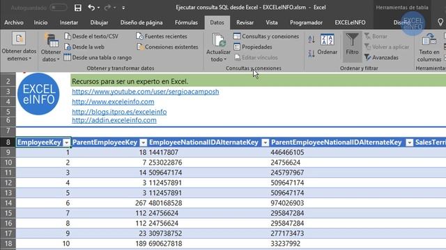 Ejecutar consulta SQL desde Excel @EXCELeINFO смотреть онлайн