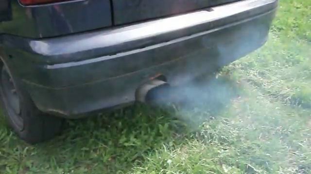 Citroen ZX Mein Remus