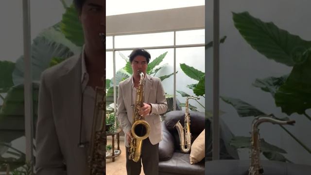 Selmer Mark VII Tenor saxophone 282xxx смотреть онлайн