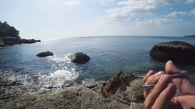 Поклевки "Отдай спиннинг!" Морская рыбалка в Таиланде на острове Пхукет. Спиннинг Kaida Gallant. смотреть онлайн