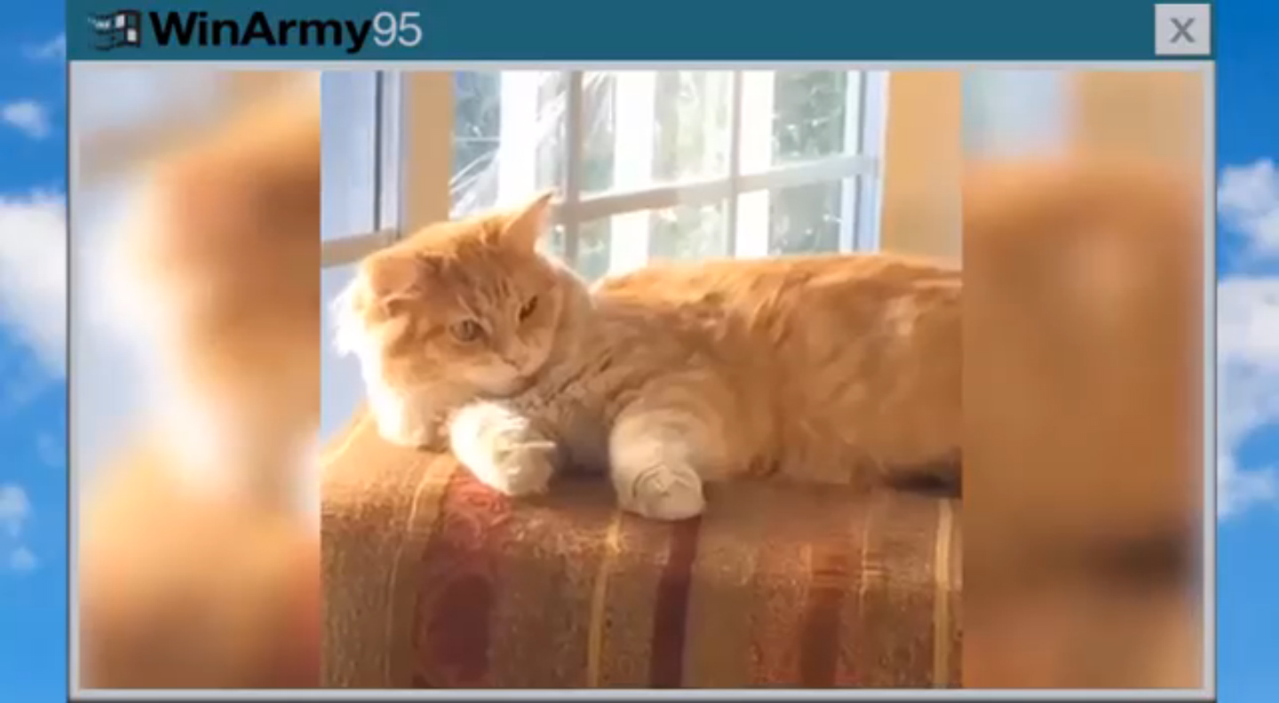 Подборка успешных трюков смотреть онлайн