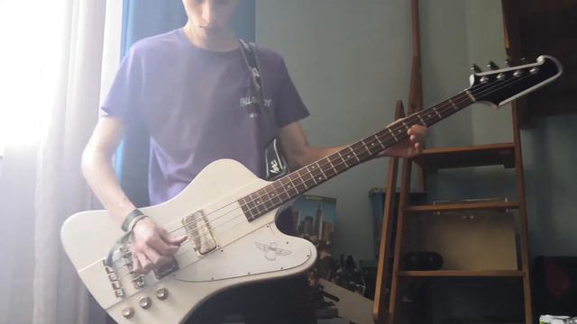 Wilson Expensive Mistakes | Fall Out Boy | Bass Cover смотреть онлайн