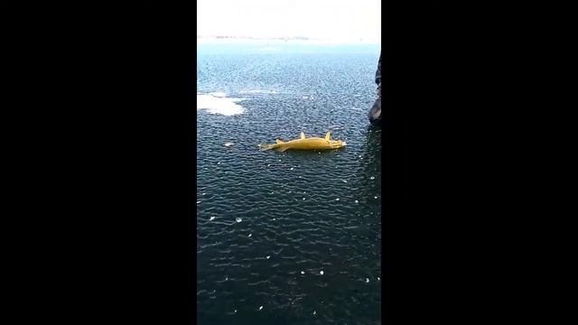 МЯДЕЛЬСКИЕ ОЗЕРА Зимняя рыбалка 2014-2017 г.г смотреть онлайн