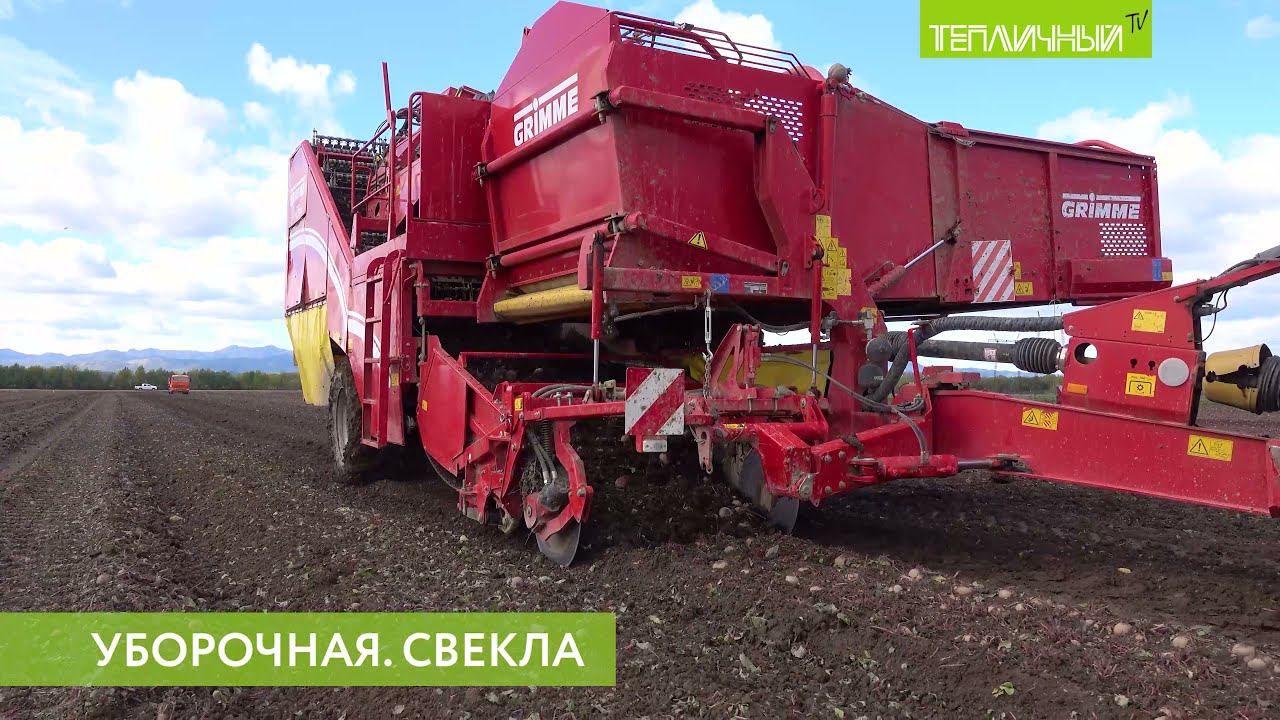 Уборочная кампания в "Тепличном". Свёкла смотреть онлайн
