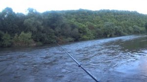 Красивая Меча. Голавль на перекатах.