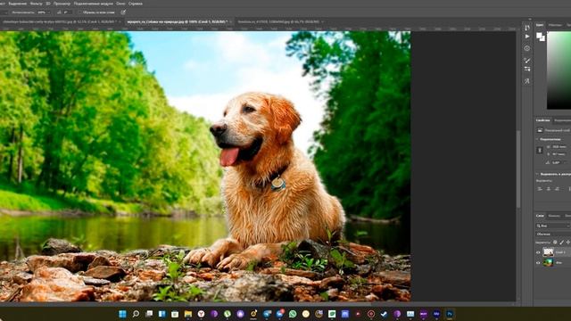 Как размыть задний фон\часть изображения в Adobe Photoshop смотреть онлайн