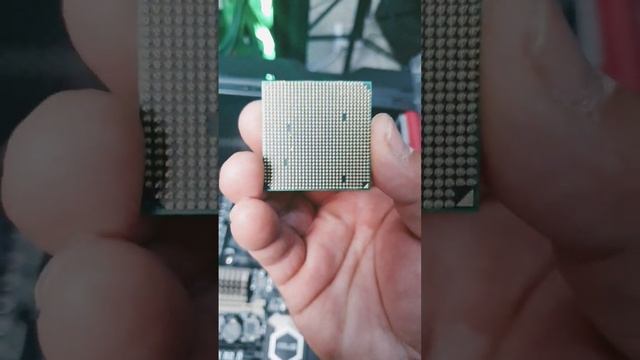 AMD AM3/AM3+ CPU INSTALL on motherrboard смотреть онлайн