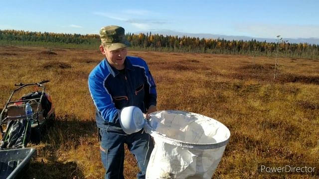 мотособака Motodog и Paxus по болоту за клюквой.