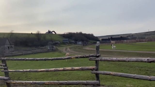 САМЫЙ ЛУЧШИЙ ВЛОГ ИЗ ВОРОНЕЖА. смотреть онлайн