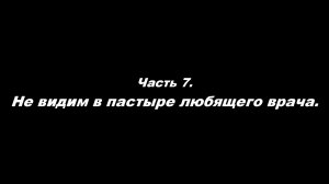 О немощи современного пастырства. 
Часть 7. Не видим в пастыре любящего врача