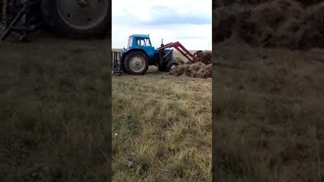 Мтз - 80 стогомет 2022 год август смотреть онлайн