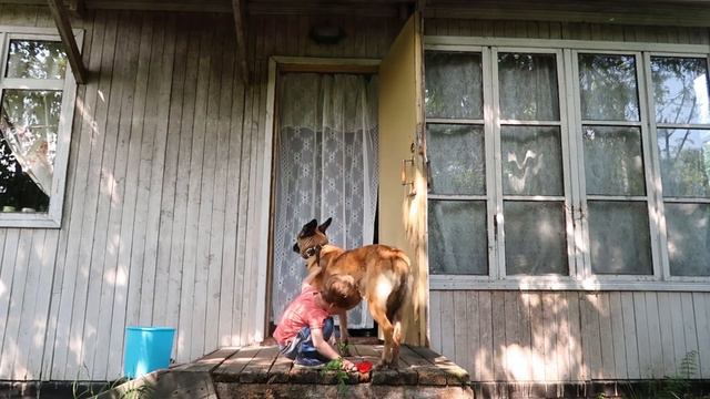 Влог 10.06.20 Приводим дом в порядок! смотреть онлайн