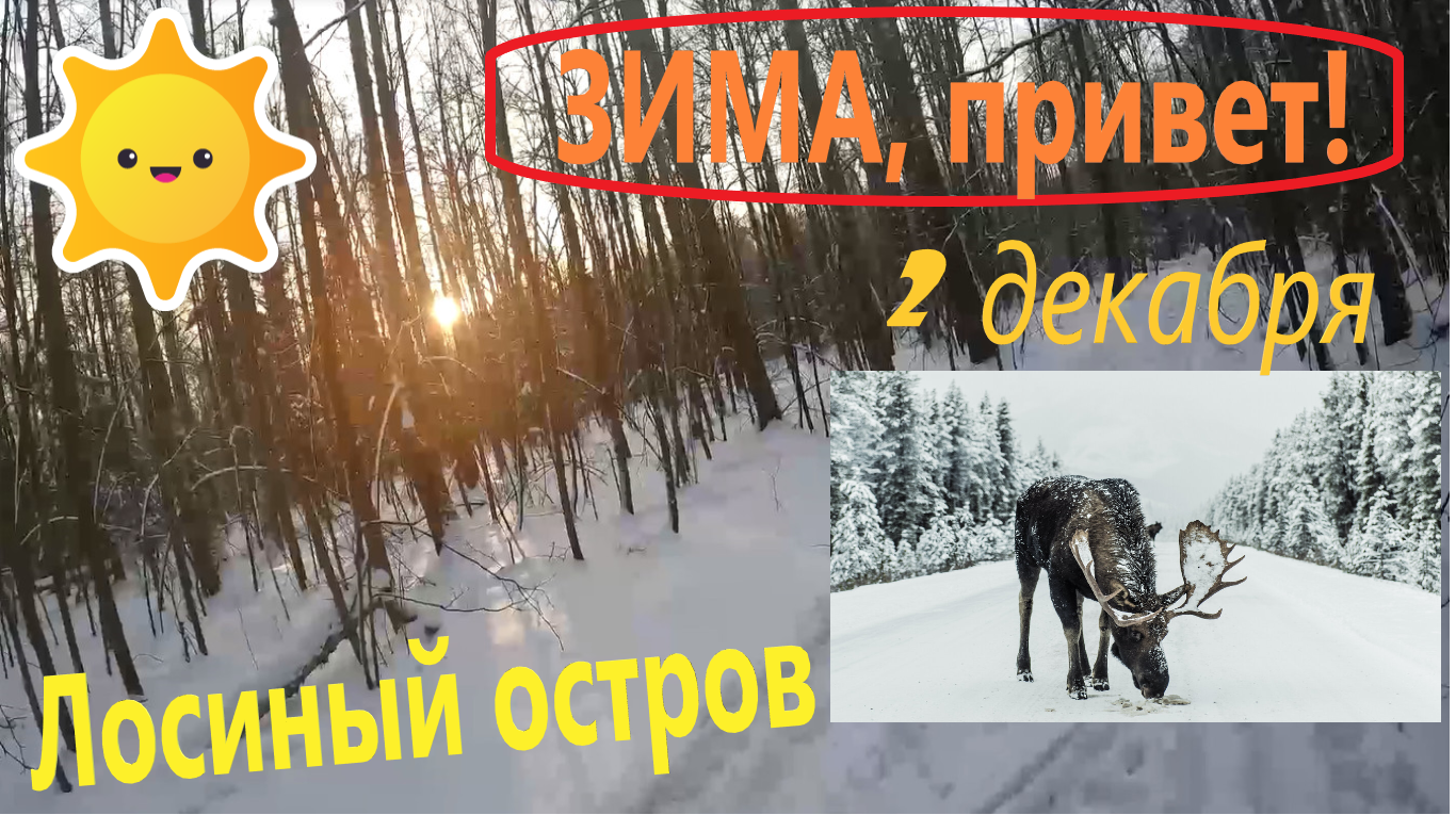 На лыжах в начале декабря в Лосиный остров! Полметра снега в Лосином острове!!! смотреть онлайн