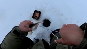 ловля судака зимой/р.Кама/с эхолотом практик 6м